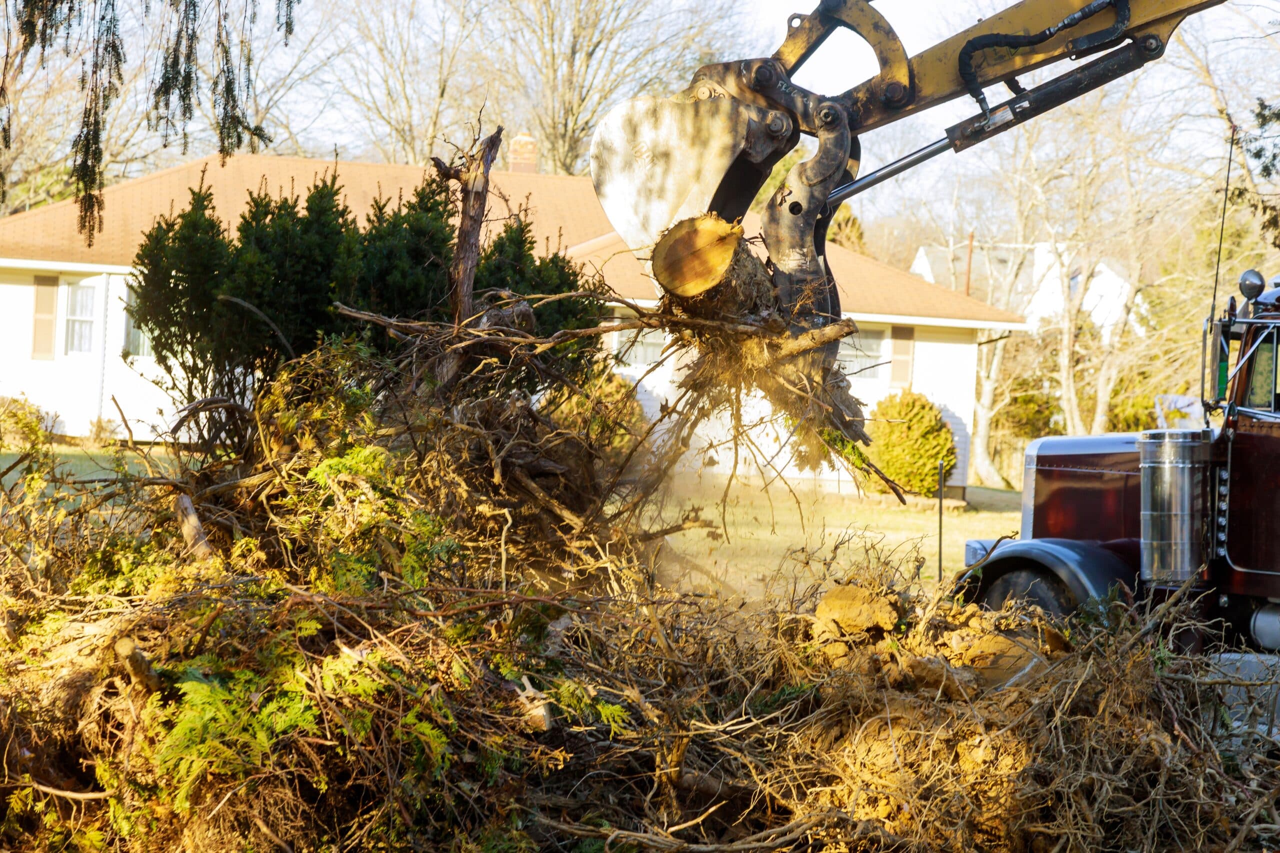 A Guide to Choosing the Best Tree Removal Services in Melbourne