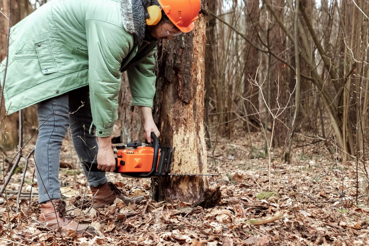 Tree Removal Clarinda: Your Guide to Safe and Efficient Tree Removal Services