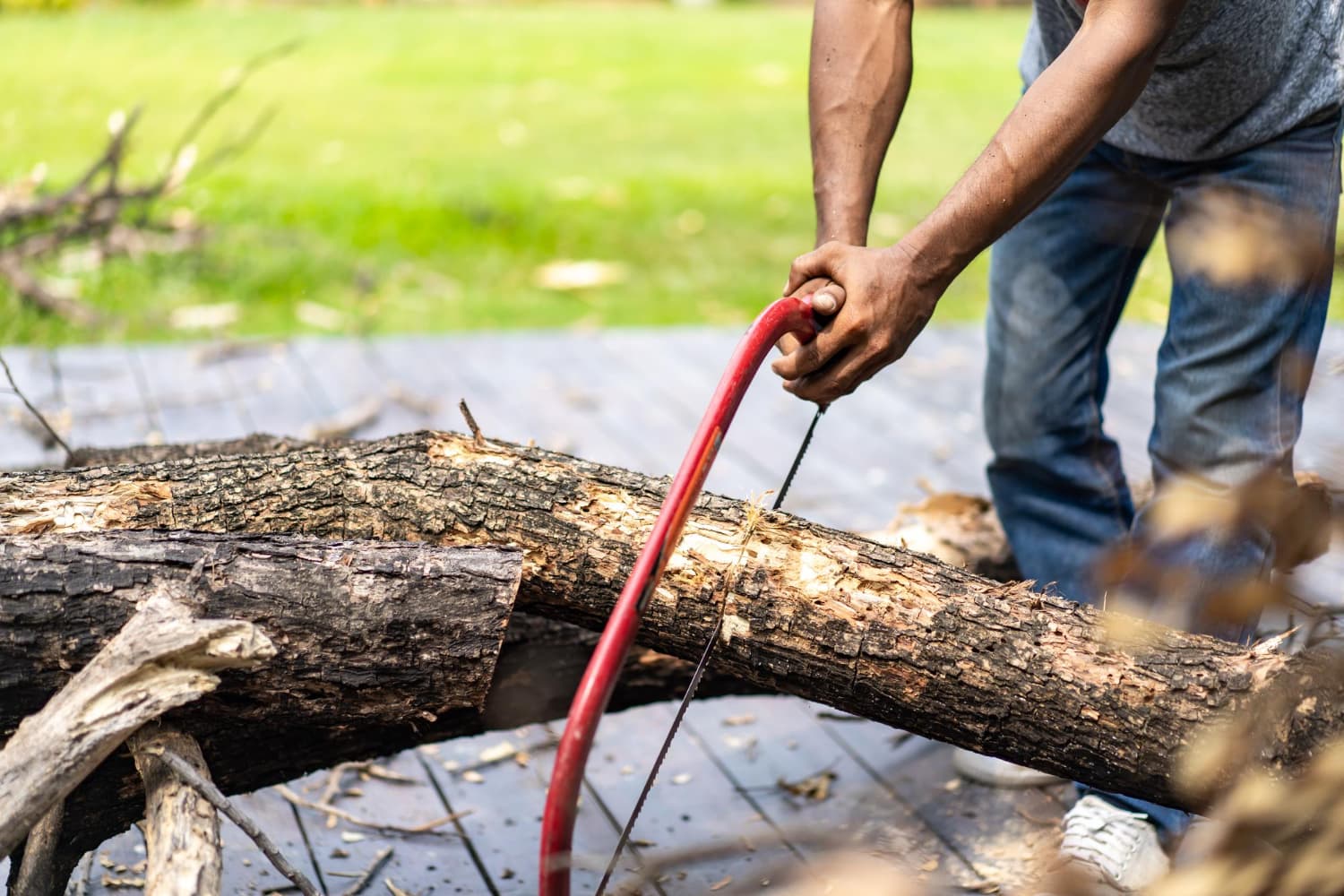Tree Removal Harkaway: The Ultimate Guide to Safe and Efficient Tree Removal