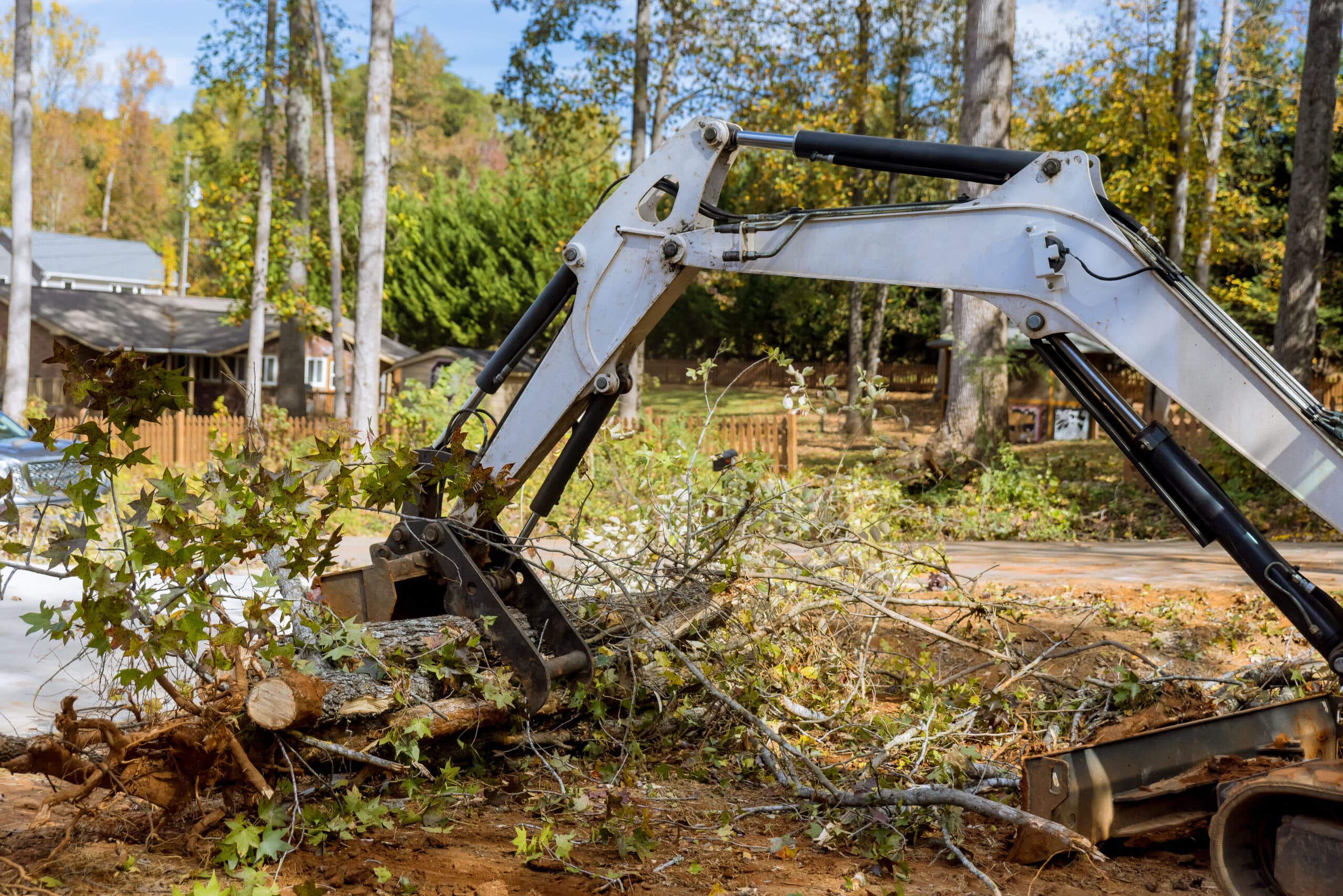 The Best Time of Year for Tree Removal in Pakenham