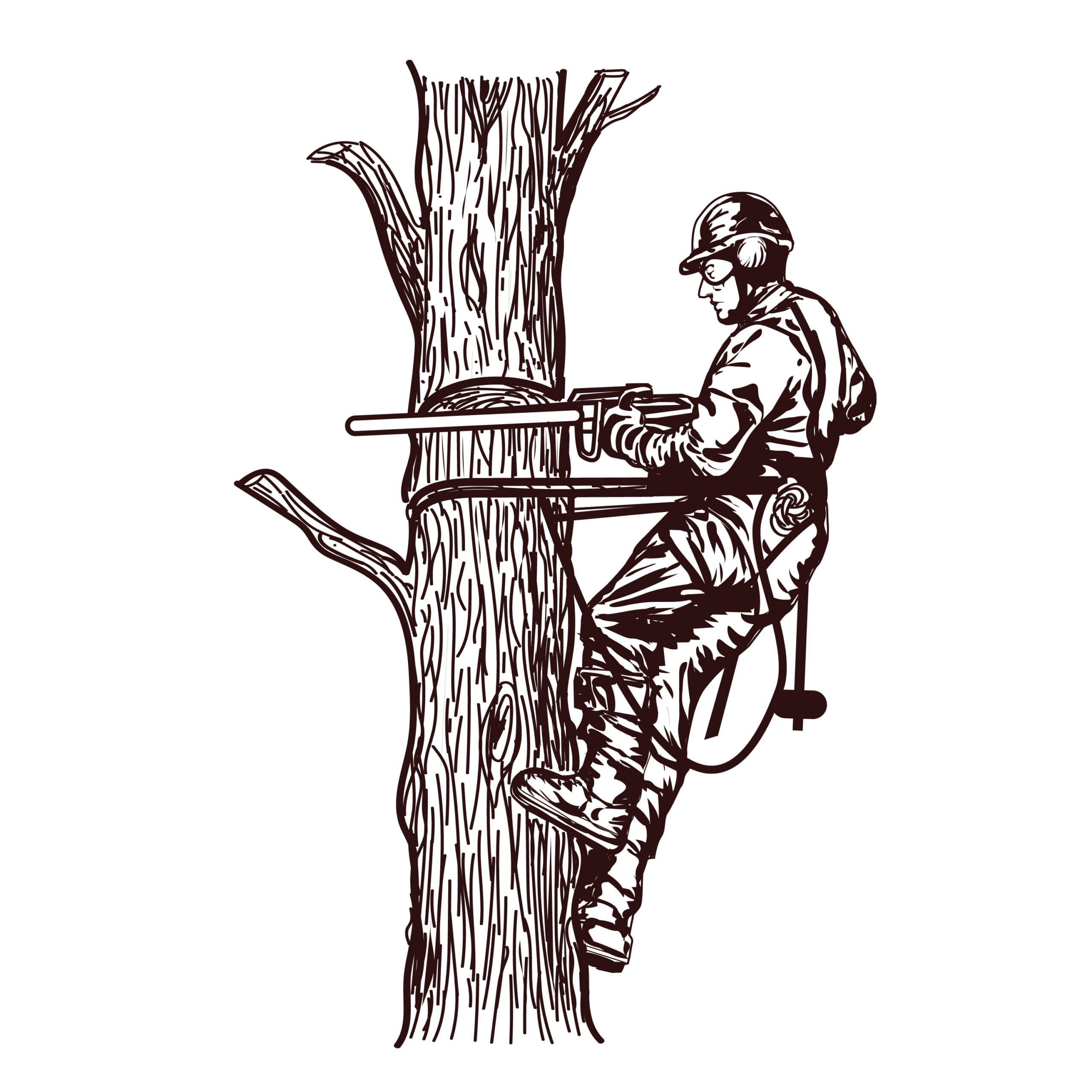 Tree Removal Knox: Professional and Reliable Services for Your Property